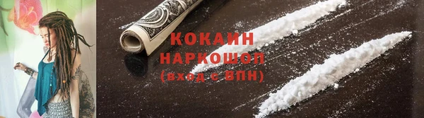 дмт Белокуриха